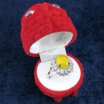 جعبه انگشتر زنانه و مردانه طرح عروسکی (جغد) - Image 2