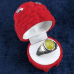 جعبه انگشتر زنانه و مردانه طرح عروسکی (جغد) - Image 3