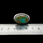 انگشتر زنانه و مردانه نقره طرح آروین با سنگ فیروزه نیشابوری - Image 3