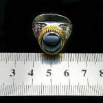 انگشتر نقره مردانه طرح دایان با سنگ حدید صینی+حکاکی - Image 3