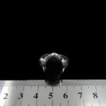 انگشتر حدید صینی نقره مردانه طرح ساسان + حکاکی‌‌‌ - Image 4