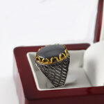 انگشتر حدید صینی نقره مردانه طرح آذربد - Image 2