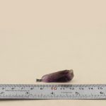 گردنبند آمیتیست زنانه و مردانه طرح سرین - Image 4