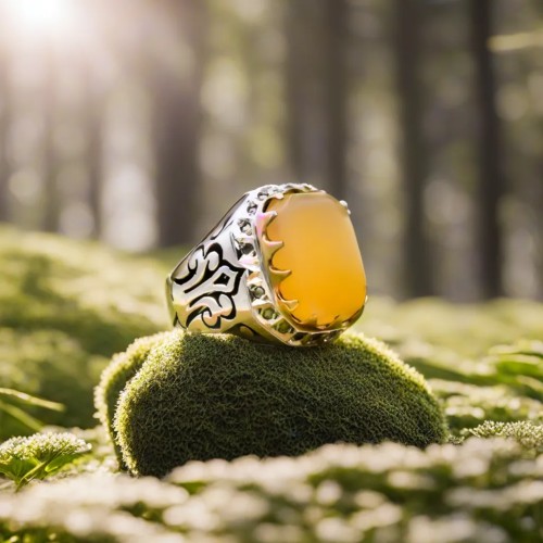 معجزه شرف شمس