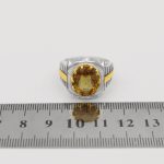 انگشتر الکساندریت الماس تراش نقره مردانه طرح فتاح - Image 5