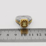 انگشتر الکساندریت الماس تراش نقره مردانه طرح بهادر - Image 5