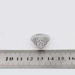 حلقه تک نگین نقره زنانه طرح السا - Image 4