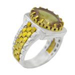 انگشتر الکساندریت الماس تراش نقره مردانه طرح روزبه