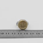 انگشتر حرز امام جواد (ع) نقره مردانه و زنانه طرح دایره ای عین علی + تربت امام حسین (ع) - Image 4