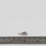 گردنبند شجر زنانه نقره طرح نسترن - Image 4